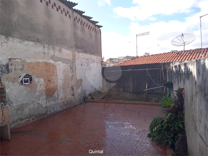 Foto REO1097256