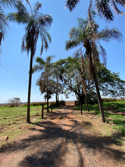 Foto REO1097259