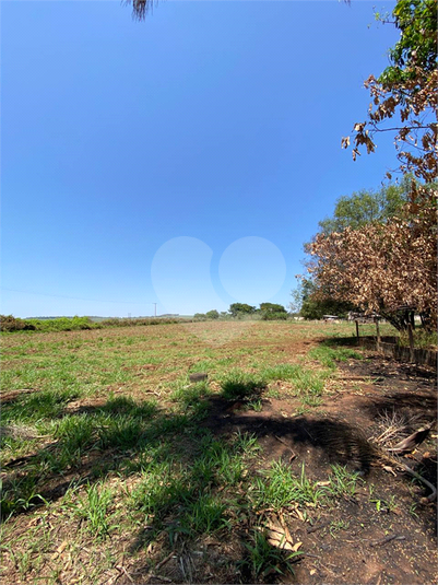 Foto REO1097259