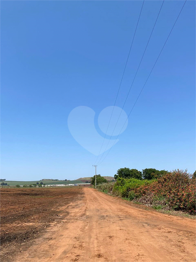 Foto REO1097259