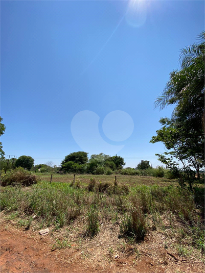 Foto REO1097259