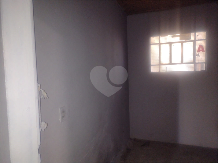 Foto REO1097265