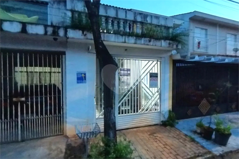 Foto REO1097267