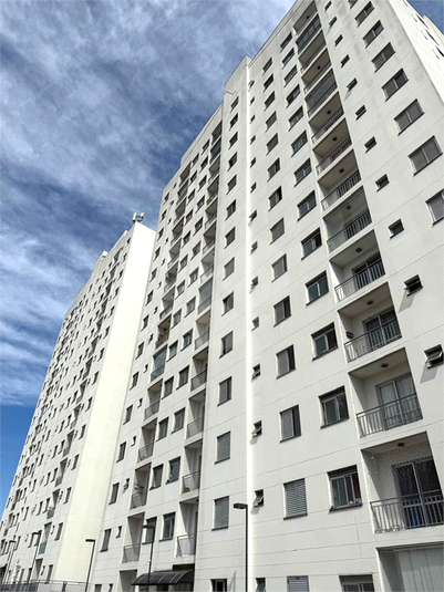 Foto REO1097272