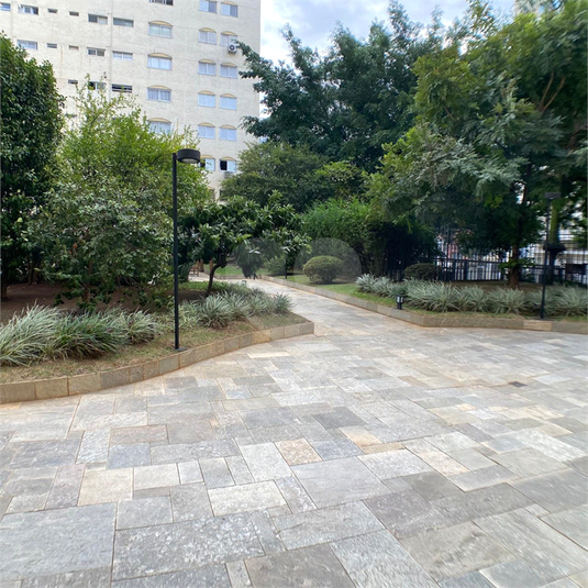 Foto REO1097277