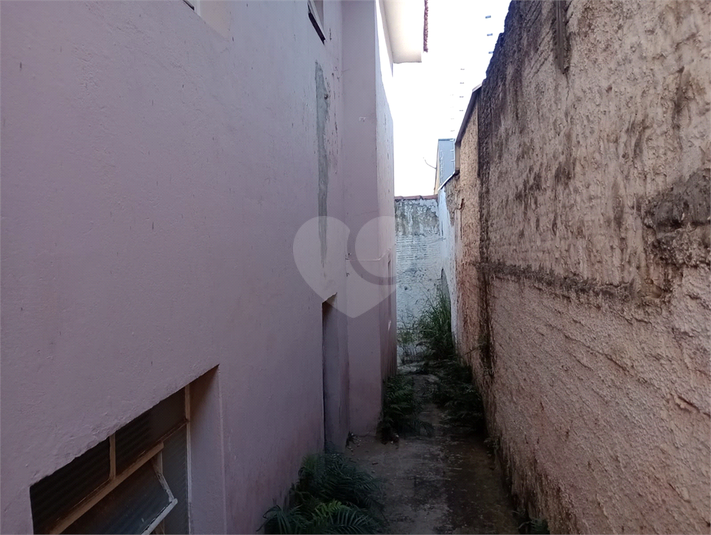 Foto REO1097283