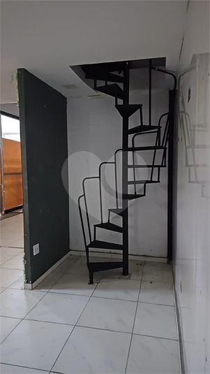 Foto REO1097294