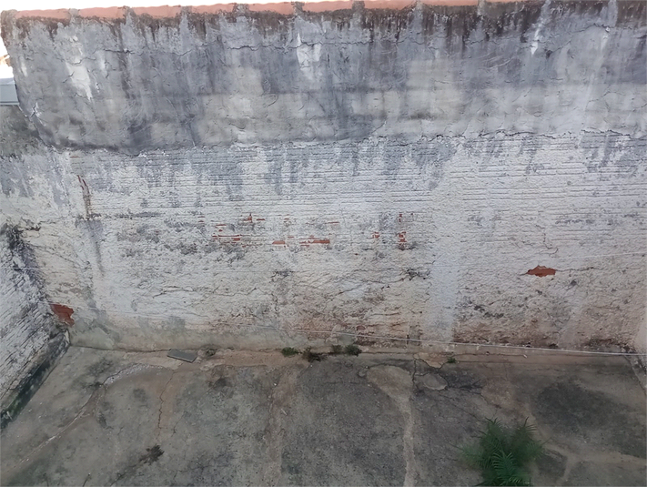 Foto REO1097295