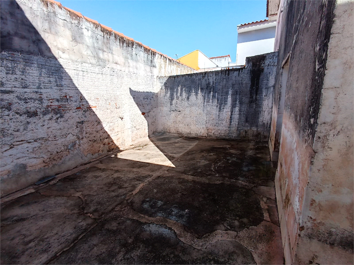 Foto REO1097295