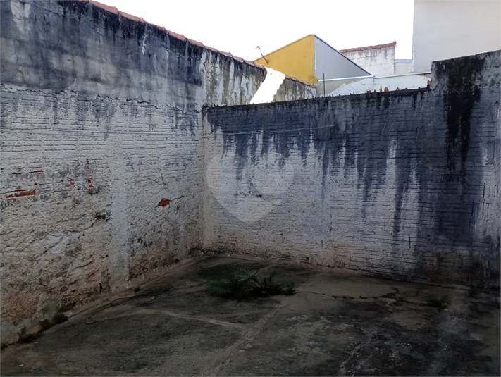 Foto REO1097295