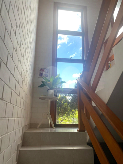 Foto REO1097310