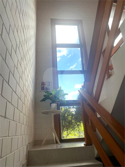 Foto REO1097310