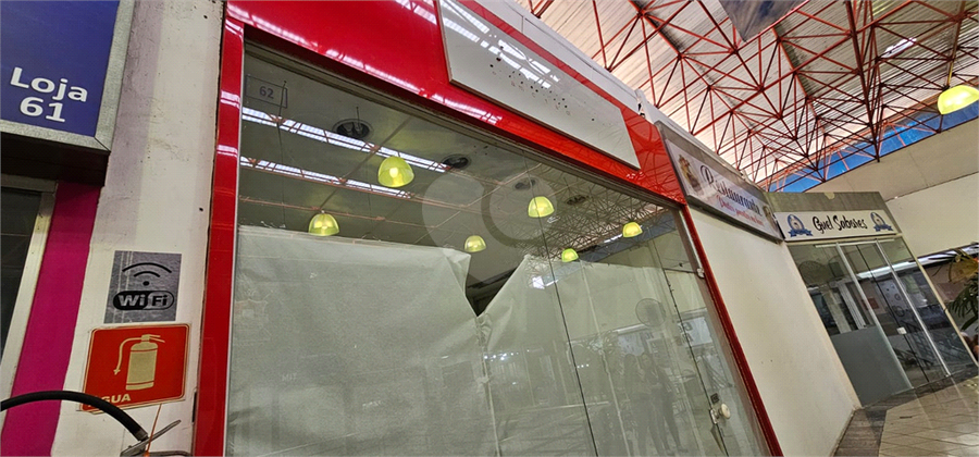 Foto REO1097338