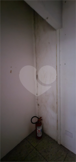 Foto REO1097338