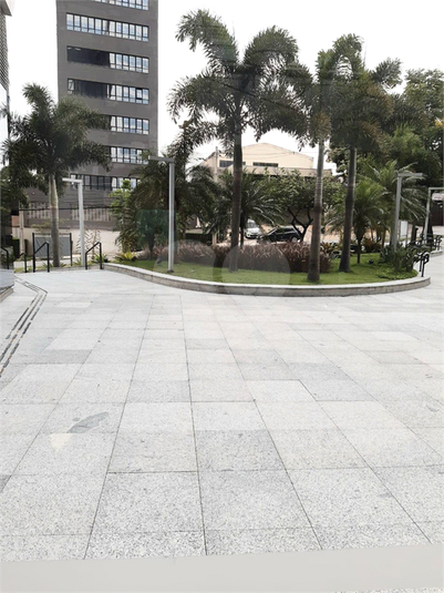 Foto REO1097342