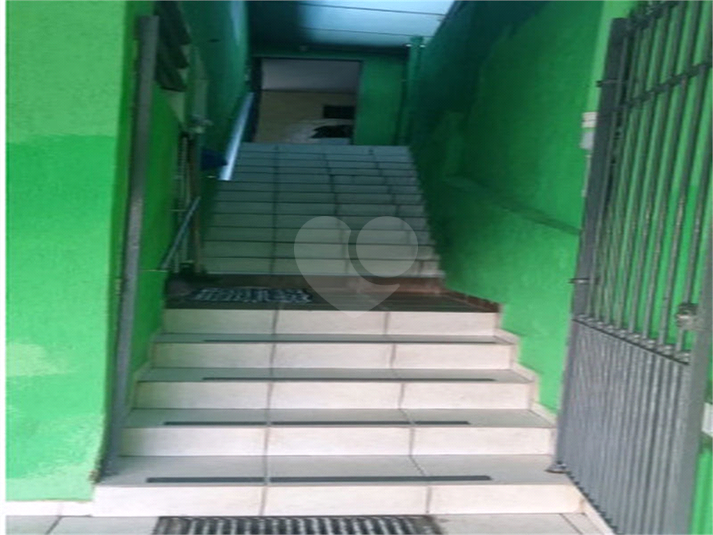 Foto REO1097347