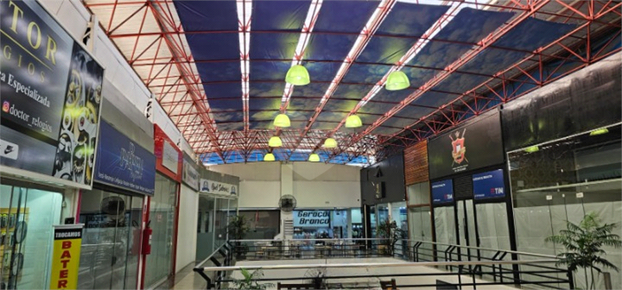 Foto REO1097351