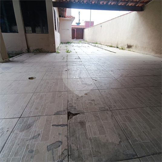 Foto REO1097362