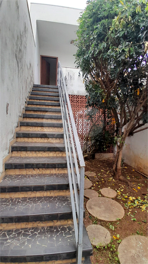 Foto REO1097379