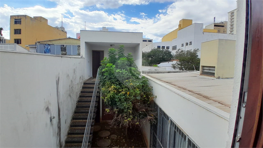 Foto REO1097379
