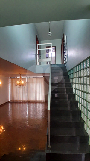 Foto REO1097379