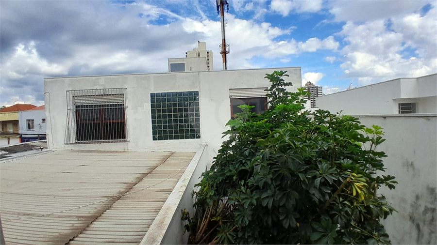 Foto REO1097379