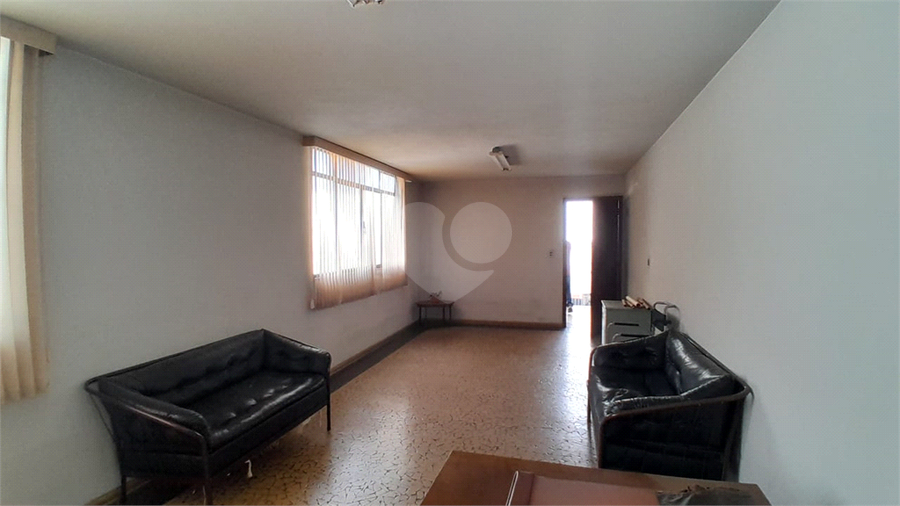 Foto REO1097379