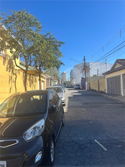 Foto REO1097381
