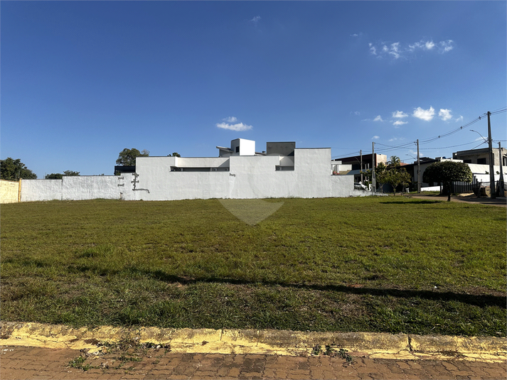 Foto REO1097387