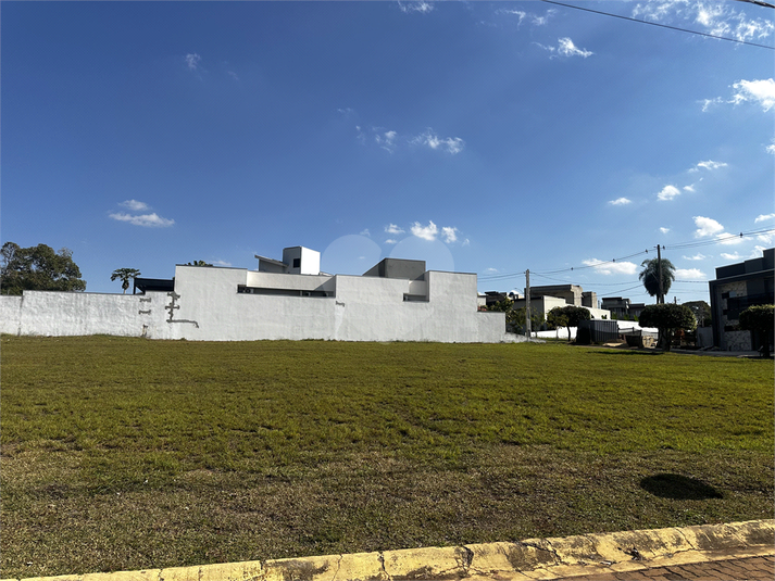 Foto REO1097387