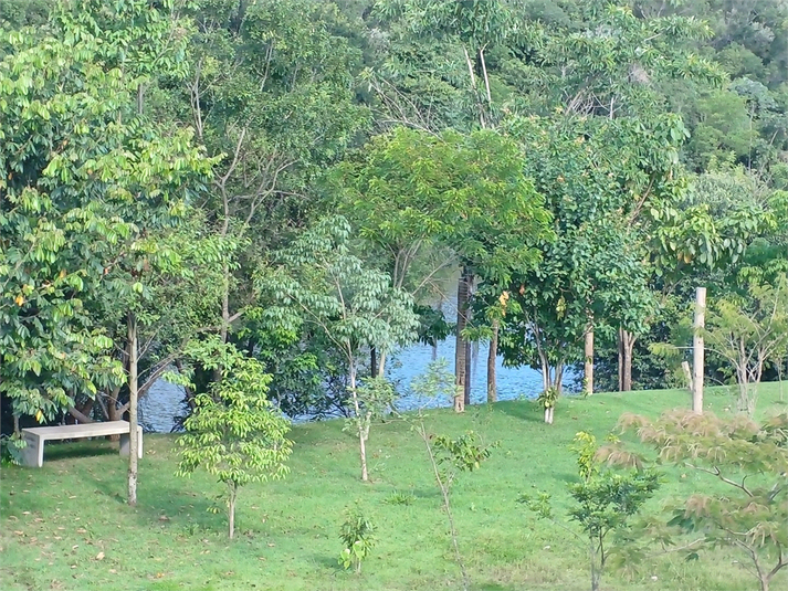 Foto REO1097392