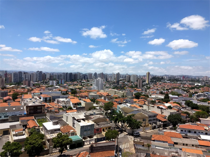 Foto REO1097396