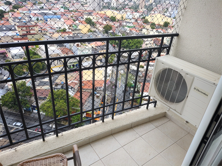 Foto REO1097396