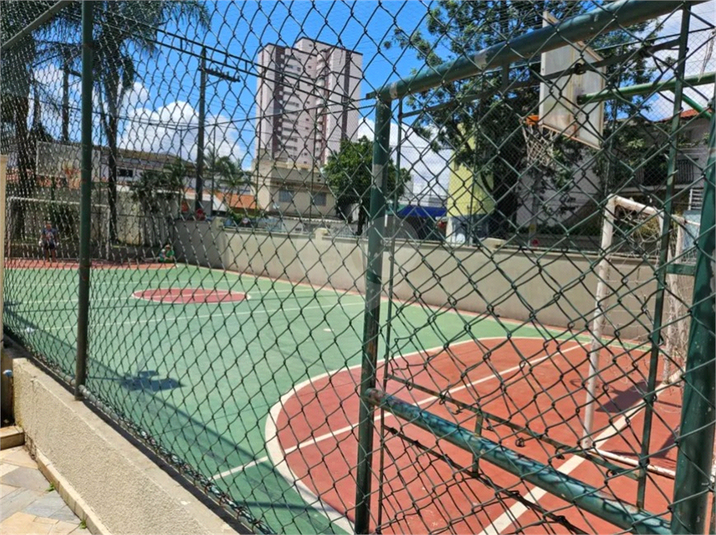 Foto REO1097396
