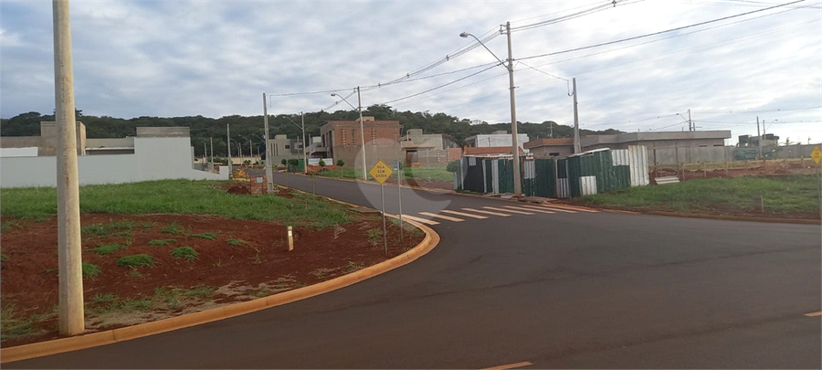 Foto REO1097399