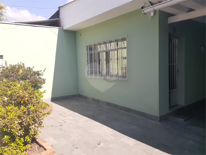 Foto REO1097412
