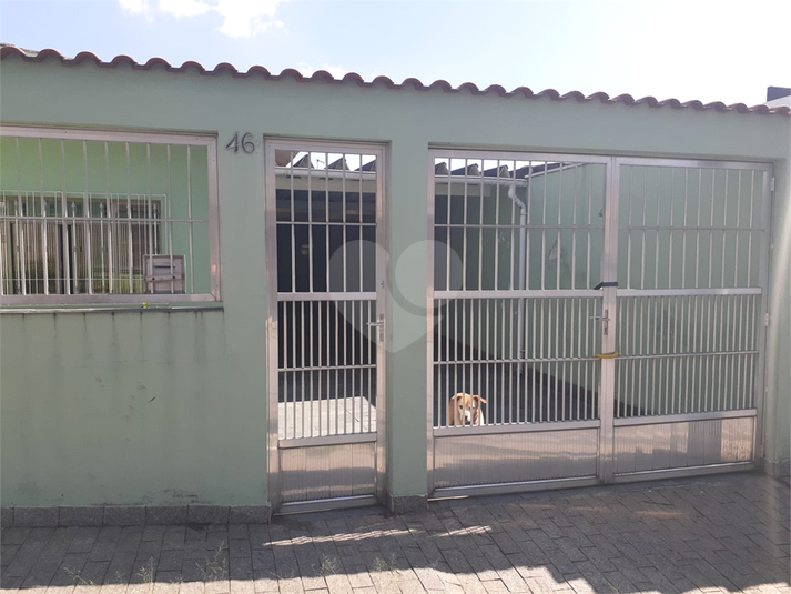 Foto REO1097412