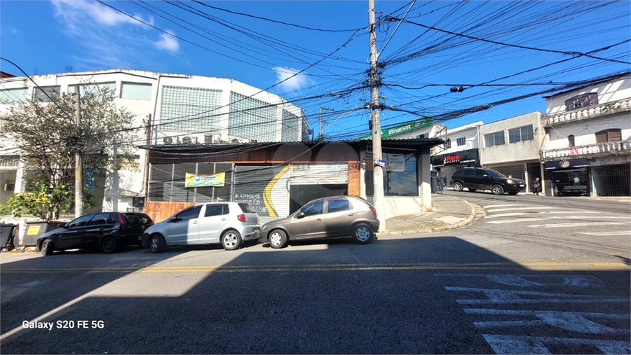 Foto REO1097423