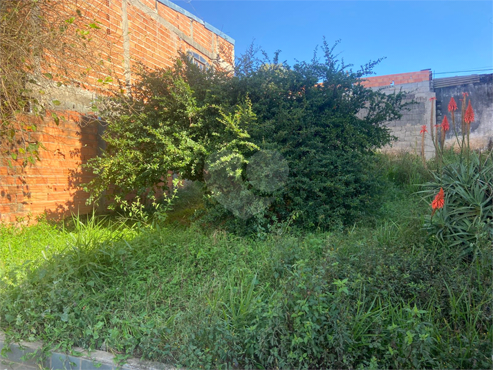 Foto REO1097427