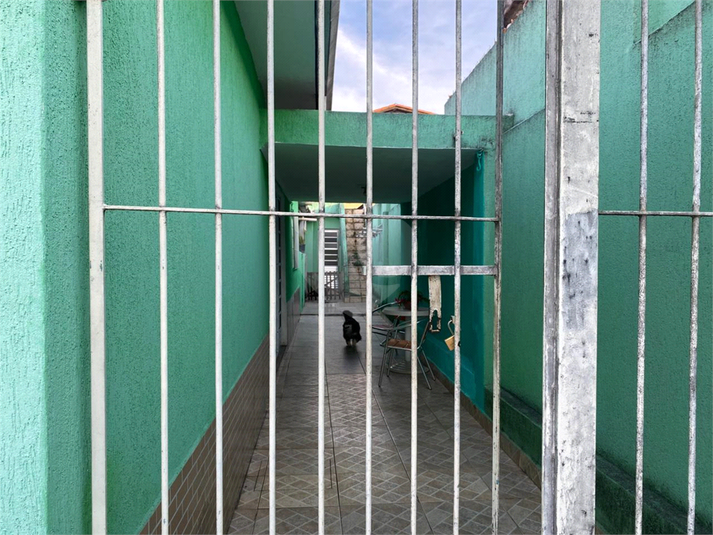 Foto REO1097429