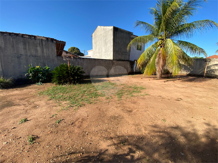 Foto REO1097431