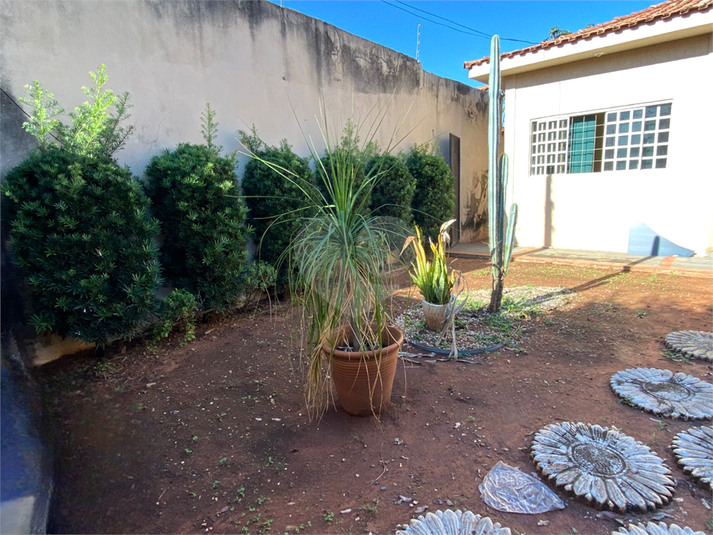 Foto REO1097431