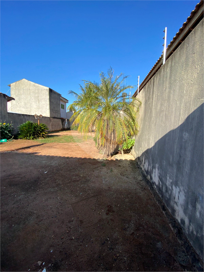 Foto REO1097431