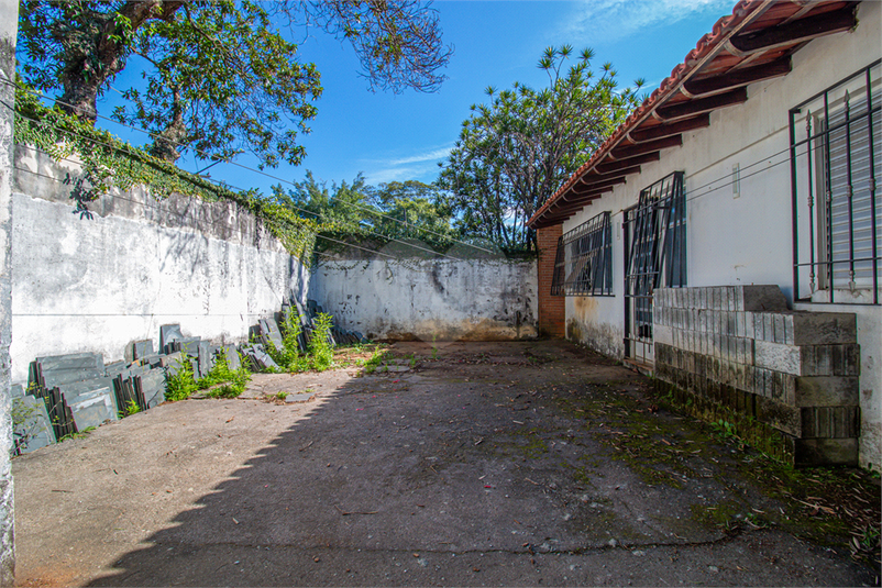 Foto REO1097436
