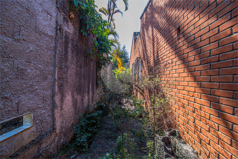 Foto REO1097436