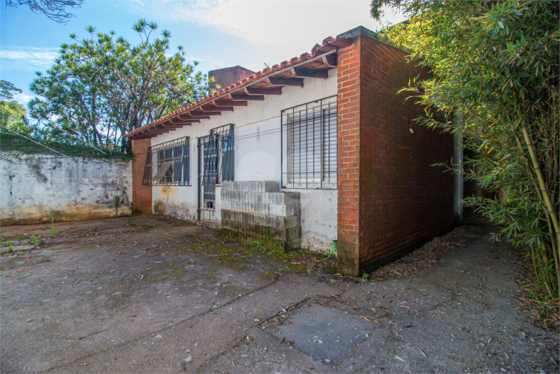 Foto REO1097436