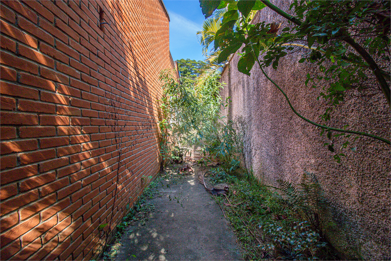 Foto REO1097436