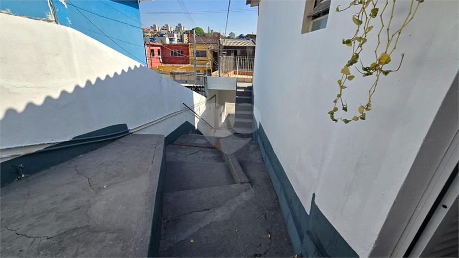 Foto REO1097442