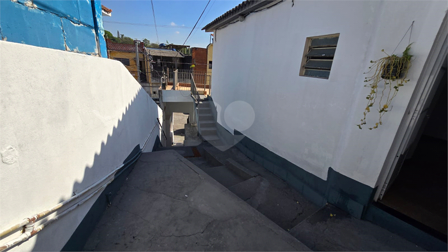 Foto REO1097442
