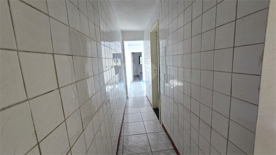 Foto REO1097442